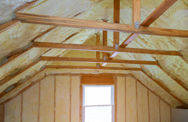 Best Cellulose Insulation  in Wollochet, WA