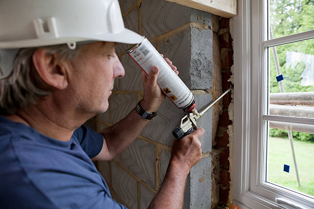 Best Energy-efficient Insulation  in Wollochet, WA