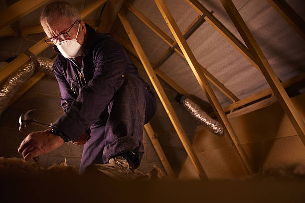 Best Crawl Space Insulation  in Wollochet, WA